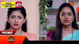 Yevandoi Sreemathigaru - Promo | 16 Dec 2024  | Telugu Serial