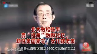 北大教授陈平，靠“批美”敛财过亿，却住美国豪宅，女儿嫁老美