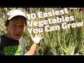 10 Easiest Vegetables You Can Grow in the Desert with Little Care