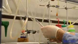 University of Michigan Lab Tour with Dr. Hernandez, Michigan Cancer Research Fund Fellow