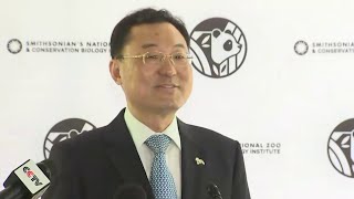 Chinese ambassador reveals details on new pandas headed to DC | NBC4 Washington