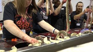 Sweetwater Rattlesnake Roundup Handling and Skinning Pits 2018