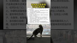 猫咪有这些表现说明他很孤独.The cat's behavior indicates that he is very lonely.