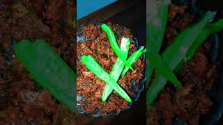 Barish Ke Mausam khayen karele ki chhilkon ka bhujiya #viral #viralvideo #karela #snake