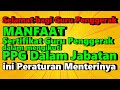 🔴RESMI INI PERMEN TENTANG MANFAAT SERTIFIKAT DAN PENDIDIKAN GURU PENGGERAK DALAM PPG DALAM JABATAN