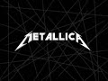 metallica nothing else matters