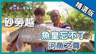 【砂勞越】 河魚之尊稱霸大馬 魚皇忘不了 Empurau｜《世界第一等》544集_精選版