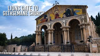 Garden of Gethsemane in Jerusalem - Israel | Ep14