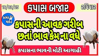 કપાસમાં તેજી ક્યારે, કપાસની હાલત ખરાબ, કપાસ બજાર,  KAPAS NA BHAV, 16.2.25, ફાર્મર માર્કેટ