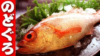 富山湾で捕れた「ノドグロ（アカムツ）」のさばき方（Rosy seabass）三枚おろし[刺身炙り]