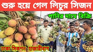 এই প্রথম লিচুর সিজন শুরু হয়ে গেল পানির দামে বিক্রি হচ্ছে!লিচুর সর্ববৃহৎ পাইকারি মার্কেট ঢাকা 2024!