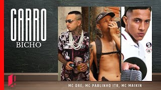 MC Pablinho ITR, MC Maikin e MC DRE - CARRO BICHO (Áudio Oficial)