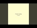 Forest Lullaby