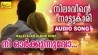 നീ ഓർക്കുന്നുവോ  | NILAVINDE NATTUKARI  |  MALAYALAM ALBUM SONG