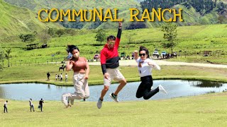 New Zealand feels in Bukidnon at Communal Ranch Impasug-ong