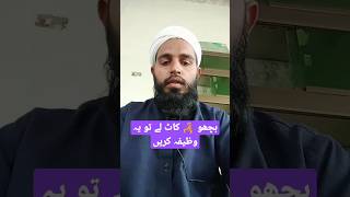 bichu kat Le to yeh wazifa karen short video islamic teacher peer Ghulam Mustafa
