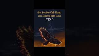 පස් වතාවක් ගිණිගත් කපුටා [Description එකේ ලිපිය කියවන්න ]#motivation #buddhamotivation