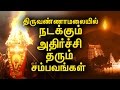 Download திருவண்ணாமலை கோவிலின் புராண சிறப்புகள்! | Historical Wonders Of Thiruvannamali Temple! In Mp4 3Gp Full HD Video