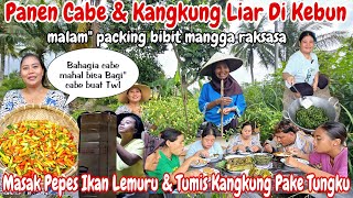 PANEN CABE & KANGKUNG LIAR‼️ MASAK PEPES LEMURU & TUMIS KANGKUNG || M' PESI & M' MAUL KERJA LEMBUR