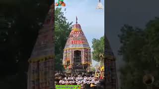 உலக புகழ் பெற்ற சிதம்பரம் தோ் திருவிழா.