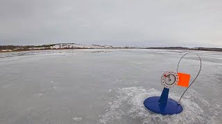 ЩУКА НА ЖЕРЛИЦЫ В ЯНВАРЕ! РЫБАЛКА КАК ПО ПОСЛЕДНЕМУ ЛЬДУ, ВСЕ В ВОДЕ | ЛОВЛЯ ЩУКИ И ОКУНЯ НА ПРУДУ