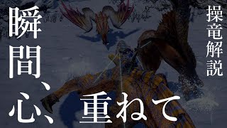 【MHRise/モンハンライズ】初心者必見！！今作からの新アクション「操竜」の基礎知識と応用テクニックを徹底解説！実践もあり「操竜だけでテオ討伐」【モンスターハンターライズ】