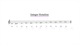 22) Integer Notation