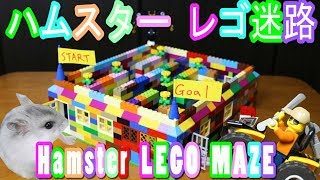 Hamster LEGO MAZE  ハムスター【レゴ迷路】