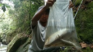 SPOT POTENSIAL MANCING JURUNG DI PINGGIRAN KOTA SIANTAR | Jurung Pedia Eps. 76