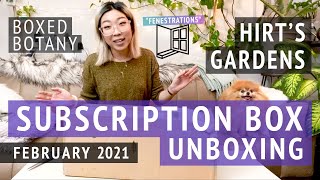 Hirt's Boxed Botany | February 2021 Houseplant Subscription Box Unboxing