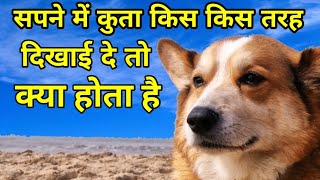 सपने में कुत्ता किस किस तरह दिखाई दे तो क्या होता है | Sapne Me Kutta Dekhna Kya Hota Hai In Hindi