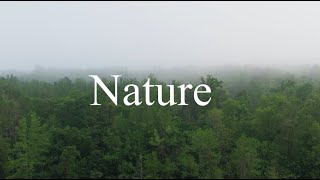 Relaxing Music|| Meet Nature|| Nature Videos😑