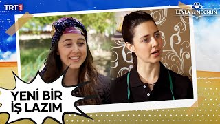 Şirketini kaybeden Leyla'nın yeni bir iş bulma mücadelesi. 😅💐☕️🥤 | Leyla ile Mecnun 97. Bölüm