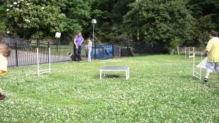 DogWoods Agility 2014 05 14 2765