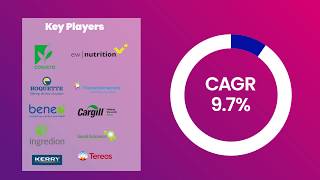 Prebiotics Market Research Report