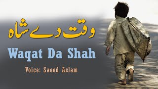 Best Poetry Waqat Da Shah Poetry By Saeed Aslam Punjabi Poetry Status Punjabi Shayari | Snack Videos