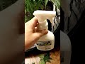 gorilla glue grow