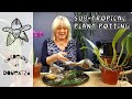 Sub-Tropical Potting Fest || Plant Haul from Madeira || Heliconia, Protea, Nerine, Cymbidium & More