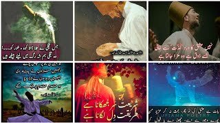 🌼Sufi ishq e khuda quotes;🕊Best sufi poetry;Sufiana kalam in urdu;🌼