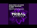 Outro (Sean Finn Club Mix)