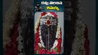 కళ్లు తెరిచిన శివయ్య | Tirupathi District | Shivalayam Updates | Hari Hara Tv