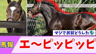 【競馬】エピファネイア産駒の時代、来たる！！！【反応集】