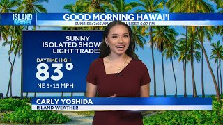 Wednesday Weather - Clear skies and light winds with high surf