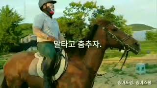 [구보배우기] 승마를 배웁시다. 구보를 배웁시다. 구보교육 구보배우기 구보달리기 구보교육 승마  구보강습 구보레슨 구보배우기 승마포럼 승마  승마스쿨 승마입문속성교육 승마스쿨