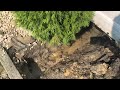 diy yard drainage how to fix a soggy wet yard with a french drain full install