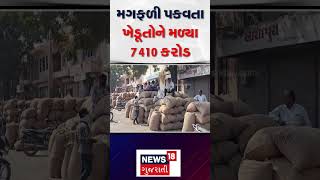 Ahmedabad Farmers News | મગફળી પકવતા ખેડુતોને મળ્યા 7410 કરોડ | Raghavji Patel | Trending | N18S