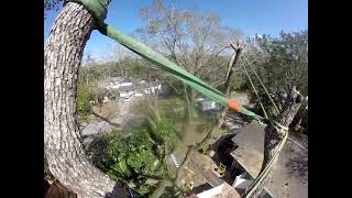 Rigging limbs big using span rigging