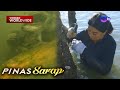 Kara David at K Brosas, game na game sa pagkuha ng talaba! | Pinas Sarap