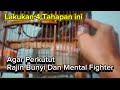 Cara Melatih perkutut agar bermental fighter dan Rajin Bunyi ala Pakde Bagyo