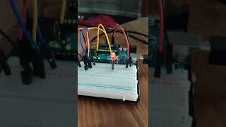 Week 9 Project